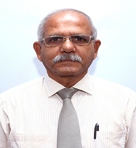 Prof. Sankar Majumder