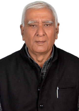 Prof. Satish Handa
