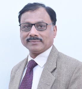 Prof. Nitin Bhatnagar