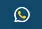 Whatsapp Icon